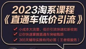 2023直通车低价引流玩法课程,小成本大流量,低价引流快速拉新收割,让你快速掌握直通车突破瓶颈| 鹿鸣网创