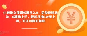 小说推文保姆式教学2.0，另类进阶玩法，0基础上手，轻松月撸1w无上限，可主可副可兼职| 鹿鸣网创