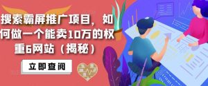 搜索霸屏推广项目,如何做一个能卖10万的权重6网站(揭秘)| 鹿鸣网创
