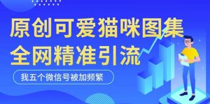 黑科技纯原创可爱猫咪图片,全网精准引流,实操5个VX号被加频繁| 鹿鸣网创
