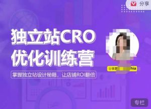 独立站CRO优化训练营，掌握独立站设计秘籍，打造高转化的独立站，让店铺ROI翻倍| 鹿鸣网创