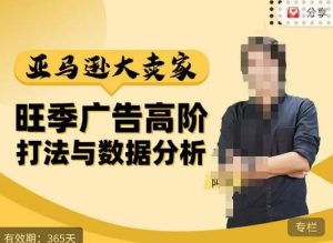 阿甘·亚马逊大卖家广告高阶打法与数据分析，走出传统广告误区；揭秘大卖惯用打法；数据驱动广告决策| 鹿鸣网创