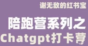 谢无敌ChatGPT打卡营,教你更好地使用ChatGPT来提高工作效率| 鹿鸣网创