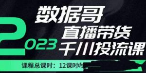 数据哥2023直播电商巨量千川付费投流实操课,快速掌握直播带货运营投放策略| 鹿鸣网创