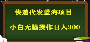 2023最新蓝海快递代发项目,小白零成本照抄也能日入300+| 鹿鸣网创