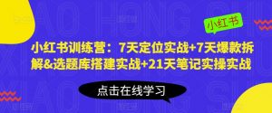 小红书训练营：7天定位实战+7天爆款拆解&选题库搭建实战+21天笔记实操实战| 鹿鸣网创