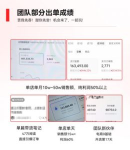 2023小红书电商火爆全网，新晋红利，风口项目，单店收益在3000-30000！| 鹿鸣网创