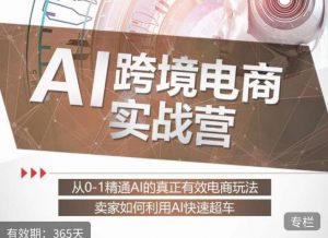 白龙老师·AI跨境电商实战营:从0-1精通Al的真正有效电商玩法,卖家如何利用Al快速超车| 鹿鸣网创