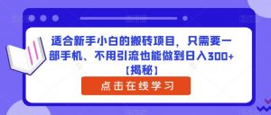 适合新手小白的搬砖项目，只需要一部手机、不用引流也能做到日入300+【揭秘】| 鹿鸣网创