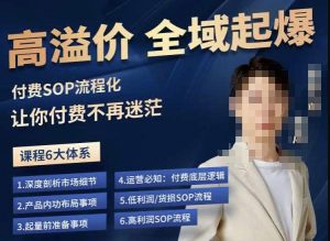 逸风-拼多多高溢价全域起爆,6大课程体系,付费玩法全套实操| 鹿鸣网创
