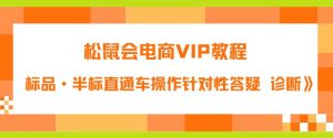 松鼠会电商VIP教程:松鼠《付费推广标品·半标直通车操作针对性答疑&诊断》| 鹿鸣网创
