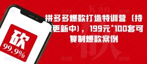 拼多多爆款打造特训营(持续更新中),199元*100套可复制爆款案例| 鹿鸣网创