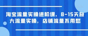 淘宝流量实操进阶课，8-15天放大流量实操，店铺流量不用愁| 鹿鸣网创