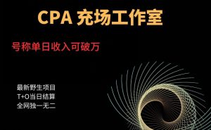 cpa充场工作室,号称单日收入10000+(揭秘)| 鹿鸣网创