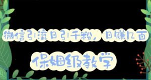 微信互推圈半自动引流方案，矩阵操作日引千人思路【详细视频教程】| 鹿鸣网创