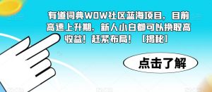 有道词典WOW社区蓝海项目,目前高速上升期,新人小白都可以换取高收益!赶紧布局!【揭秘】| 鹿鸣网创