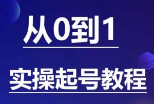 石野·小白起号实操教程,掌握各种起号的玩法技术,了解流量的核心| 鹿鸣网创