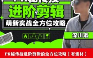 PR进阶剪辑培训班，让你快速成为剪辑大师12节视频课程+素材！| 鹿鸣网创