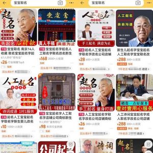 拆解小红书宝宝起名虚拟副业项目，一条龙实操玩法分享给你（教程+软件）| 鹿鸣网创