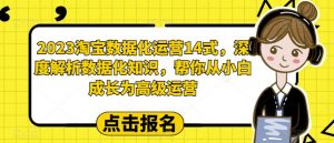 2023淘宝数据化运营14式,深度解析数据化知识,帮你从小白成长为高级运营| 鹿鸣网创