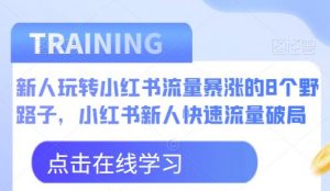 新人玩转小红书流量暴涨的8个野路子，小红书新人快速流量破局| 鹿鸣网创