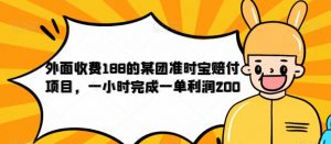 外面收费188的美团准时宝赔付项目,一小时完成一单利润200【仅揭秘】| 鹿鸣网创