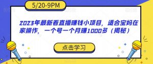 2023年最新看直播赚钱小项目，适合宝妈在家操作，一个号一个月赚1000多（揭秘）| 鹿鸣网创