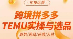 伍跃·跨境拼多多TEMU实操与选品,趋势/选品/运营/入住(27节完整)| 鹿鸣网创