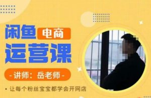 岳老师·闲鱼电商运营课,让每个粉丝宝宝都学会开网店| 鹿鸣网创