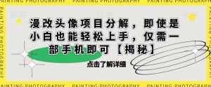 漫改头像项目分解,即使是小白也能轻松上手,仅需一部手机即可【揭秘】| 鹿鸣网创