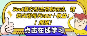 Soul暴力引流男粉玩法，轻松实现每天500＋收益！【揭秘】| 鹿鸣网创