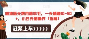 极速版无费用薅羊毛，一天躺赚10-50+，小白无脑操作【拆解】| 鹿鸣网创