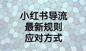 小红书导流最新规则应对方式【揭秘】| 鹿鸣网创