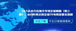 TikTok全方位通关专项企业陪跑【第三期】,从0到1真正的企业TK电商运营全流程| 鹿鸣网创