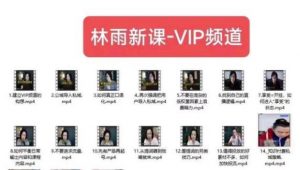 林雨新课VIP频道，玩赚私域/朋友圈/社群| 鹿鸣网创
