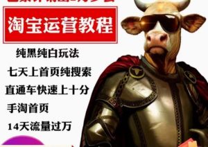 猫老师·淘系算法逆向解密,纯黑纯白玩法,七天上首页纯搜索,手淘首页14天流量过万| 鹿鸣网创