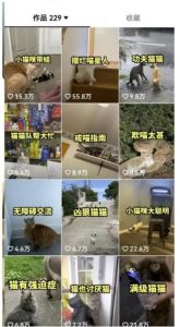 拆解抖音盘点类中视频变现副业项目,视频版一条龙大解析分享给你【视频课程】| 鹿鸣网创