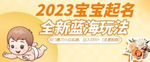 抖音美女图文+音乐推广5.0版本,单日单号500+,0本0粉可矩阵,五分钟一个视频【揭秘】| 鹿鸣网创