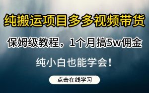 纯搬运项目多多视频带货保姆级教程,1个月搞5w佣金,纯小白也能学会【揭秘】| 鹿鸣网创