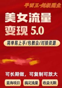 TK美女短视频变现项目无限复制（升级版），全网最高性价比项目【揭秘】| 鹿鸣网创
