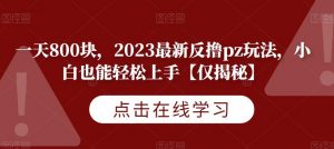 一天800块，2023最新反撸pz玩法，小白也能轻松上手【仅揭秘】| 鹿鸣网创