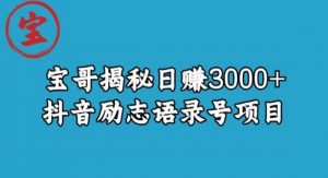 宝哥揭秘日赚3000+抖音励志语录号短视频变现项目| 鹿鸣网创
