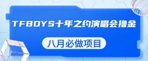 最新蓝海项目，靠最近非常火的TFBOYS十年之约演唱会流量掘金，八月必做的项目【揭秘】| 鹿鸣网创