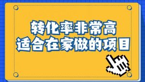 小红书虚拟电商项目:从小白到精英(视频课程+交付手册)| 鹿鸣网创