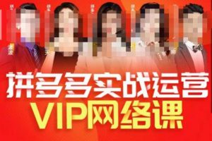 推易拼多多VIP全套直播课程，拼多多店铺实操玩法+实战玩法选款内功+直通车高阶等| 鹿鸣网创