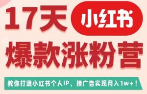 17天小红书爆款涨粉营（广告变现方向），教你打造小红书博主IP、接广告变现的| 鹿鸣网创