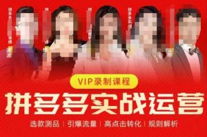 2023推易拼多多实战运营，选款测品、引爆流量、高点击转化、规则解析| 鹿鸣网创