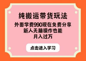 纯搬运带货玩法,外面学费990现在免费分享,新人无脑操作也能月入过万【揭秘】| 鹿鸣网创