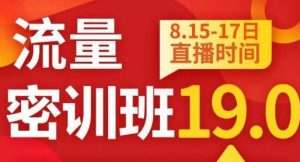秋秋线上流量密训班19.0，打通流量关卡，线上也能实战流量破局| 鹿鸣网创