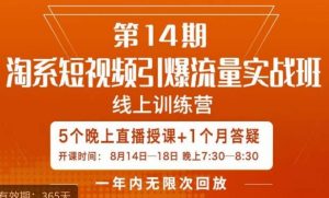 南掌柜·淘系短视频引爆流量实战班,短视频是一个没有天花板的流量入口| 鹿鸣网创